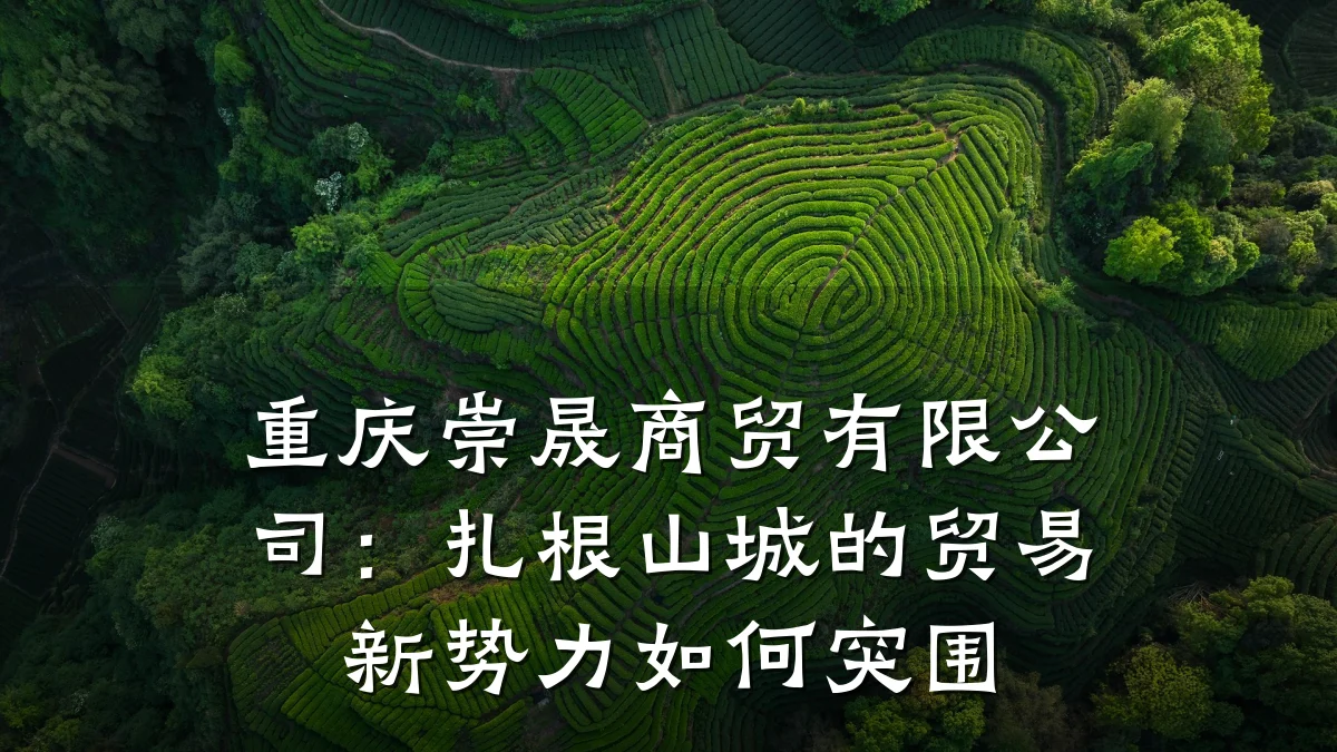 重庆崇晟商贸有限公司:扎根山城的贸易新势力如何突围