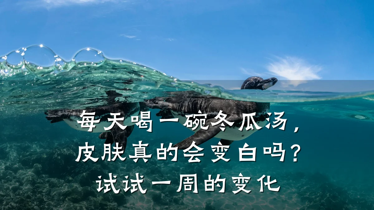 每天喝一碗冬瓜汤,皮肤真的会变白吗?试试一周的变化