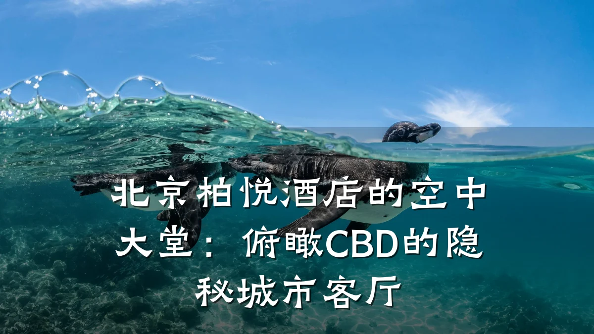 北京柏悦酒店的空中大堂：俯瞰CBD的隐秘城市客厅