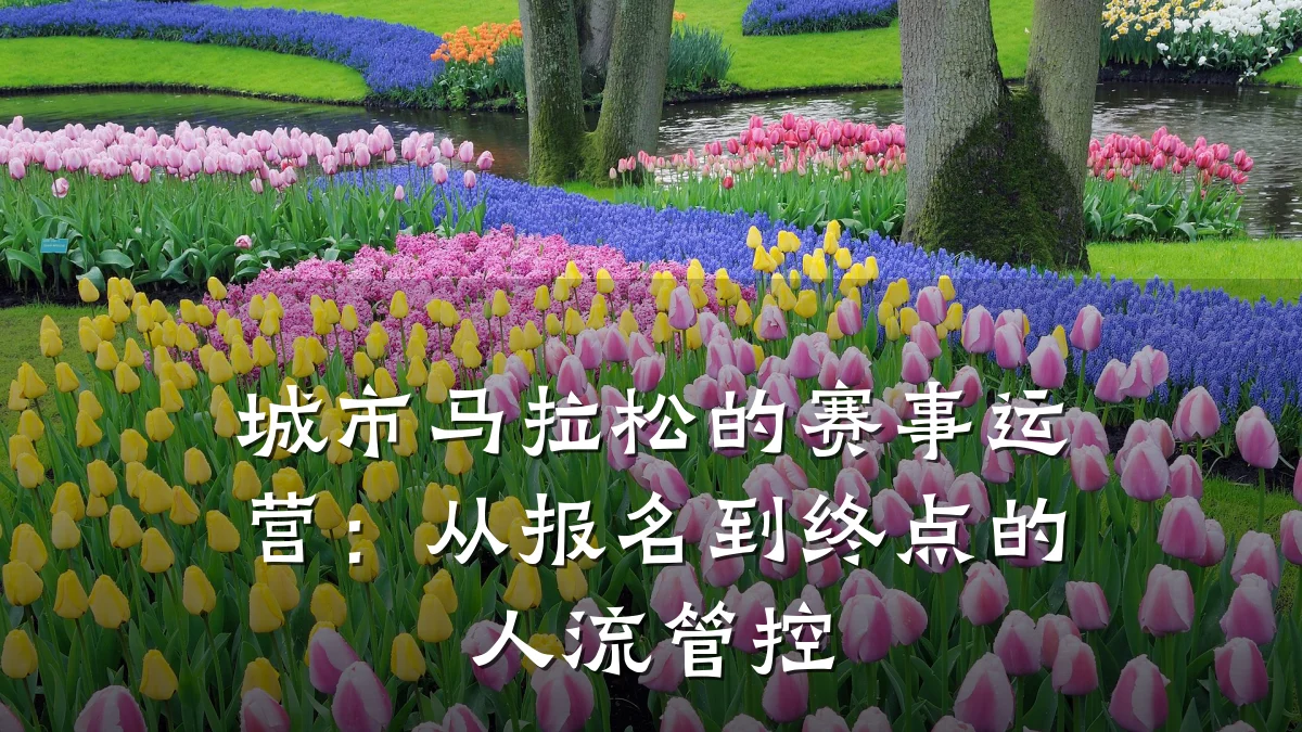 城市马拉松的赛事运营:从报名到终点的人流管控