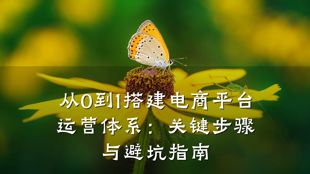 从0到1搭建电商平台运营体系:关键步骤与避坑指南