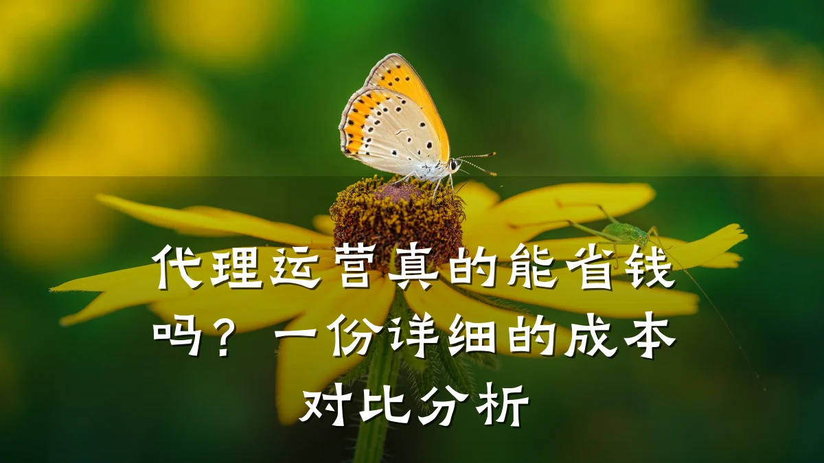 代理运营真的能省钱吗?一份详细的成本对比分析
