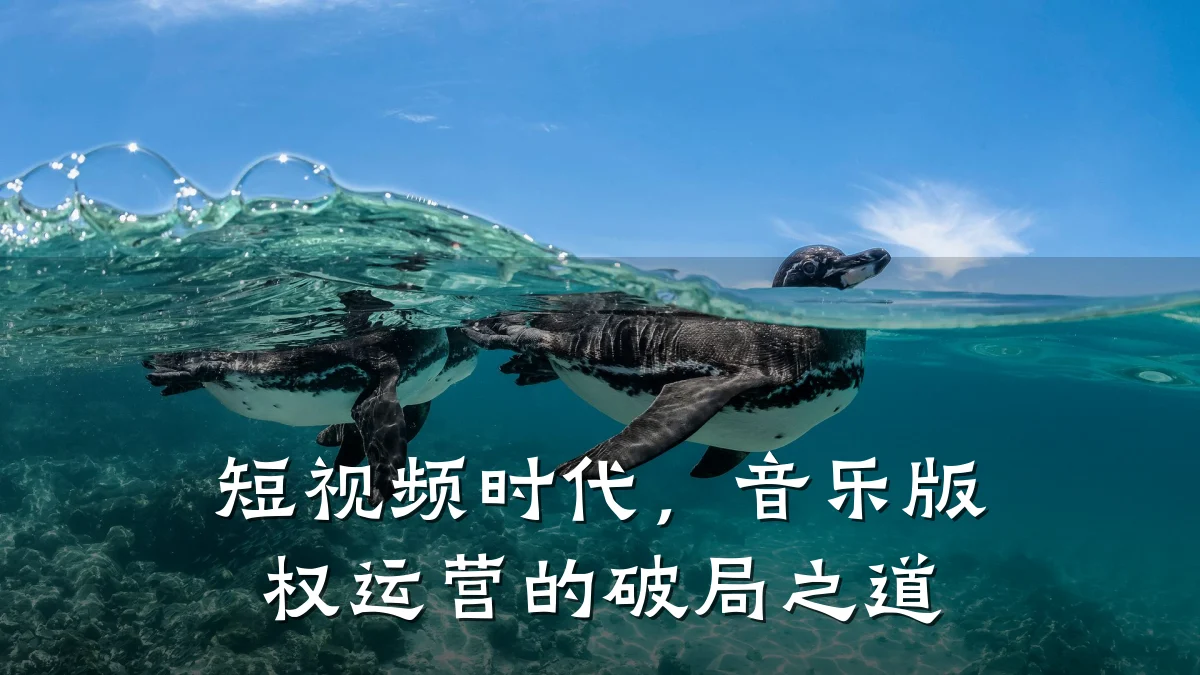 短视频时代,音乐版权运营的破局之道