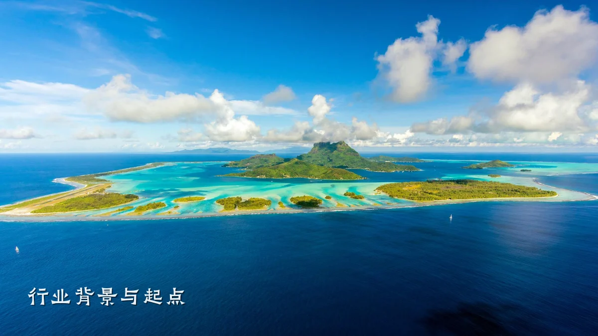 行业背景与起点