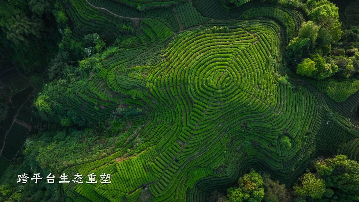 跨平台生态重塑