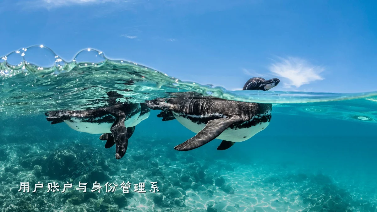 用户账户与身份管理系