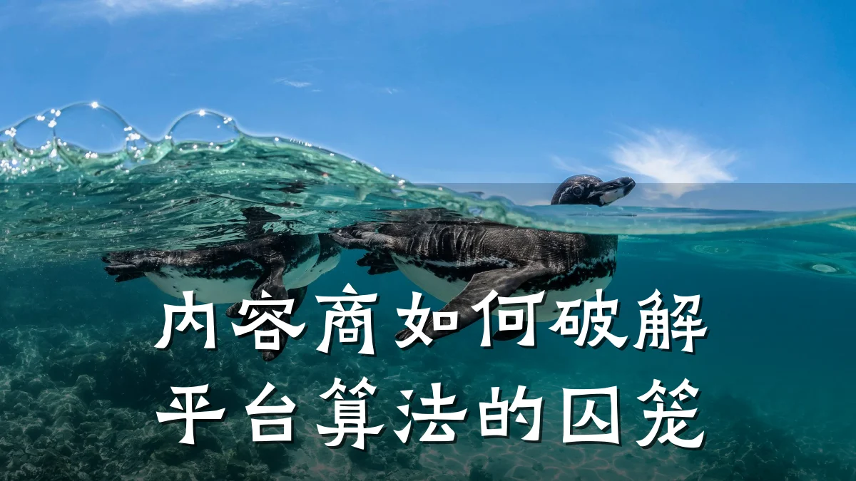 内容商如何破解平台算法的囚笼