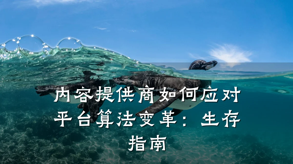 内容提供商如何应对平台算法变革：生存指南