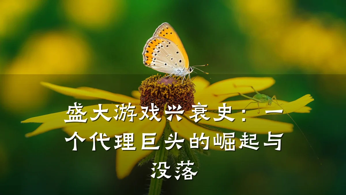 盛大游戏兴衰史：一个代理巨头的崛起与没落