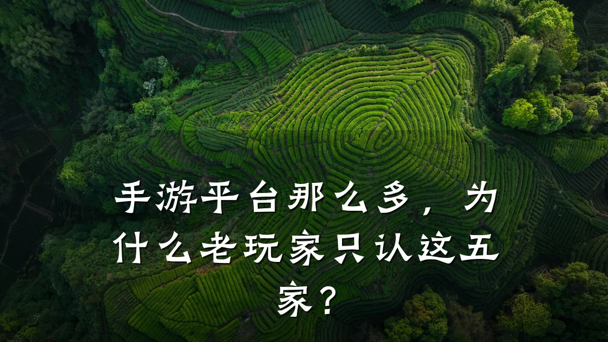手游平台那么多,为什么老玩家只认这五家?