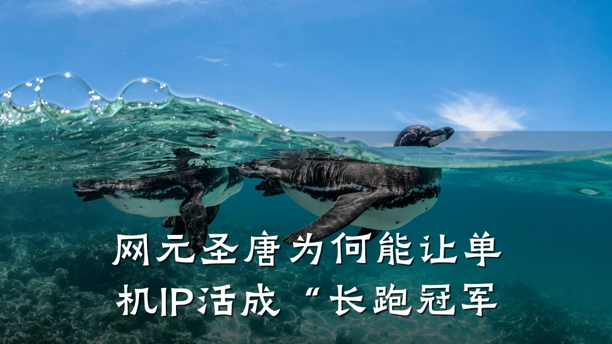 网元圣唐为何能让单机IP活成“长跑冠军