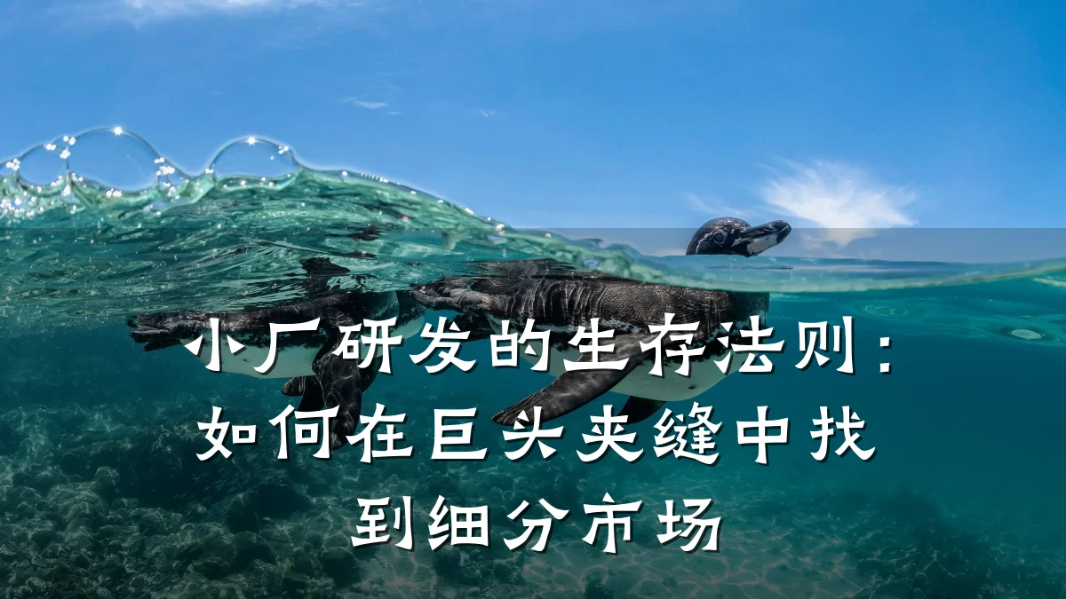 小厂研发的生存法则:如何在巨头夹缝中找到细分市场