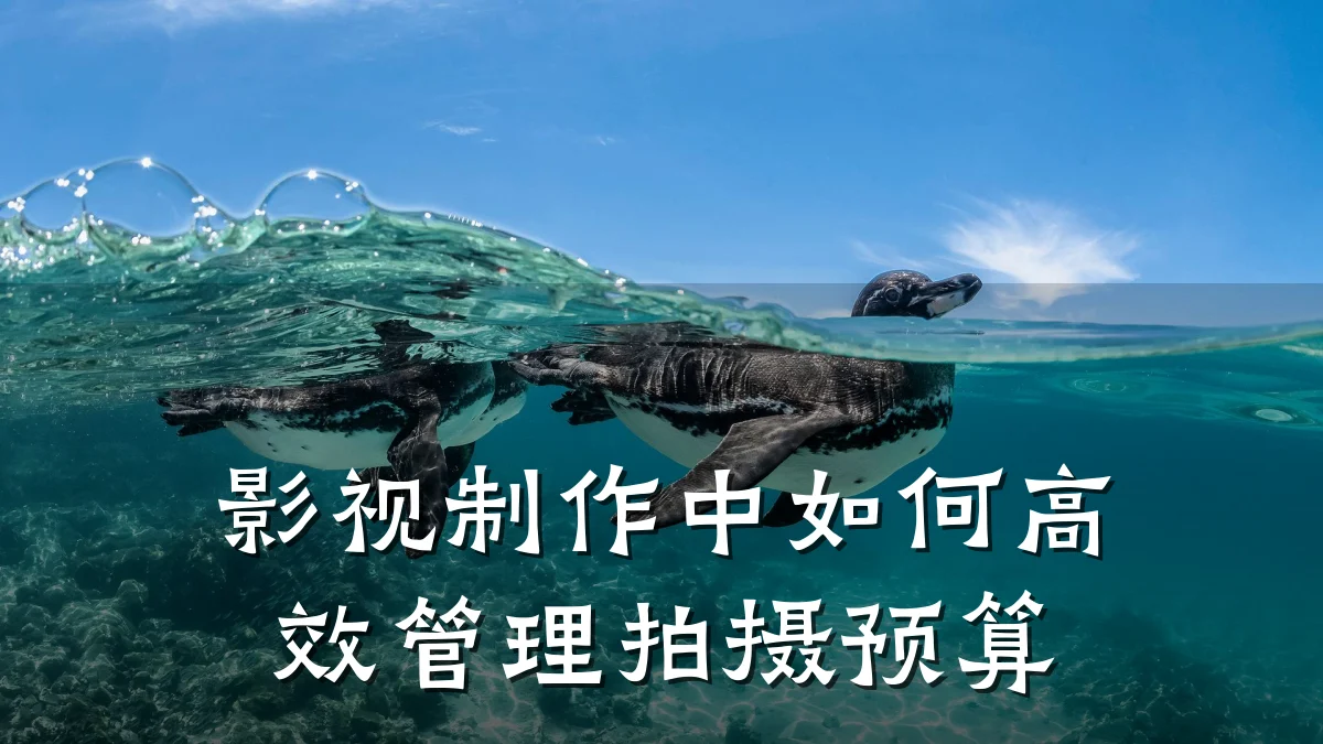 影视制作中如何高效管理拍摄预算