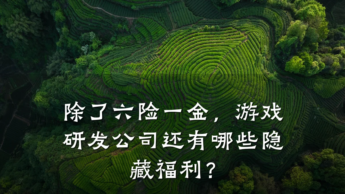 除了六险一金,游戏研发公司还有哪些隐藏福利?