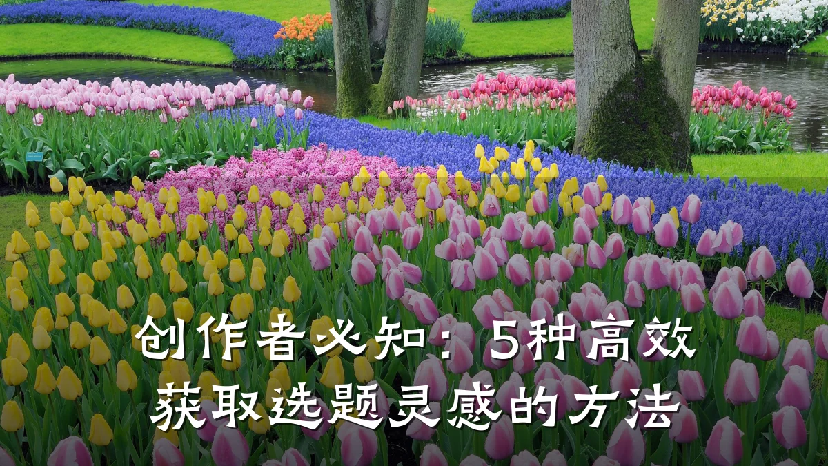 创作者必知:5种高效获取选题灵感的方法