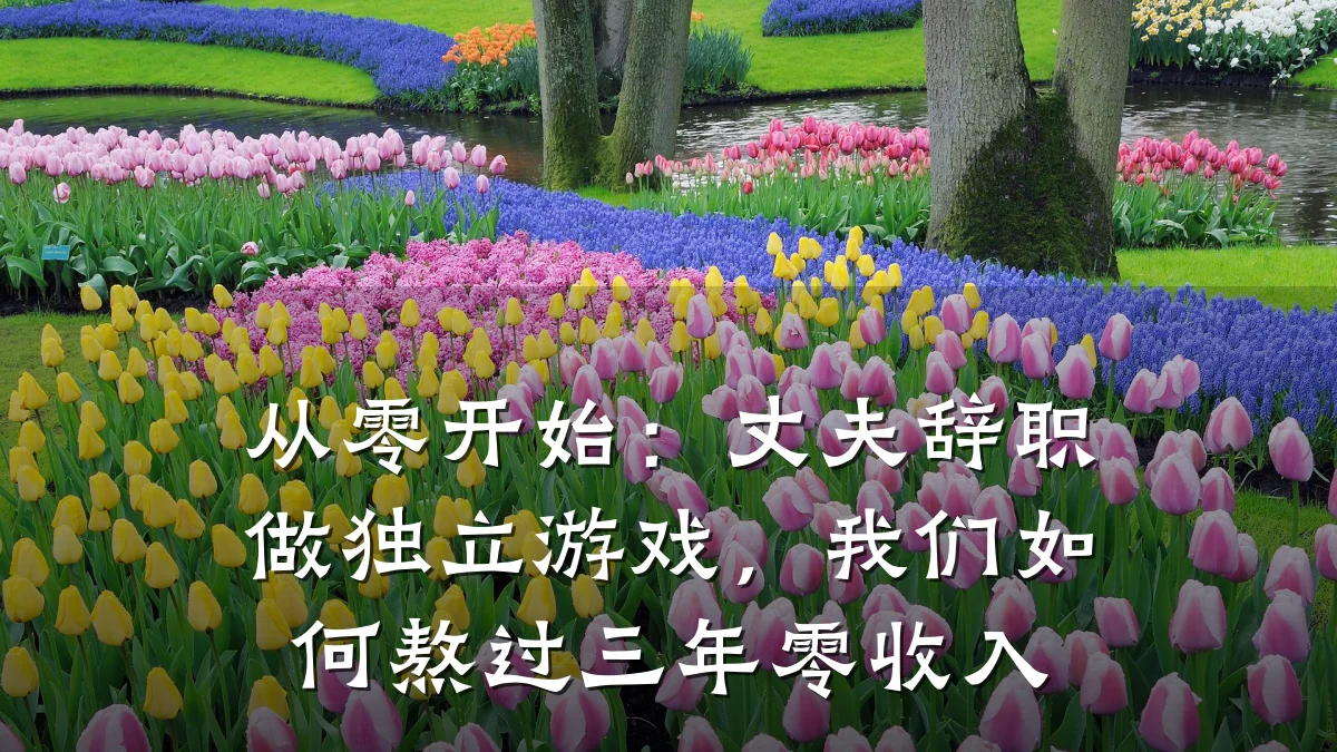 从零开始：丈夫辞职做独立游戏，我们如何熬过三年零收入