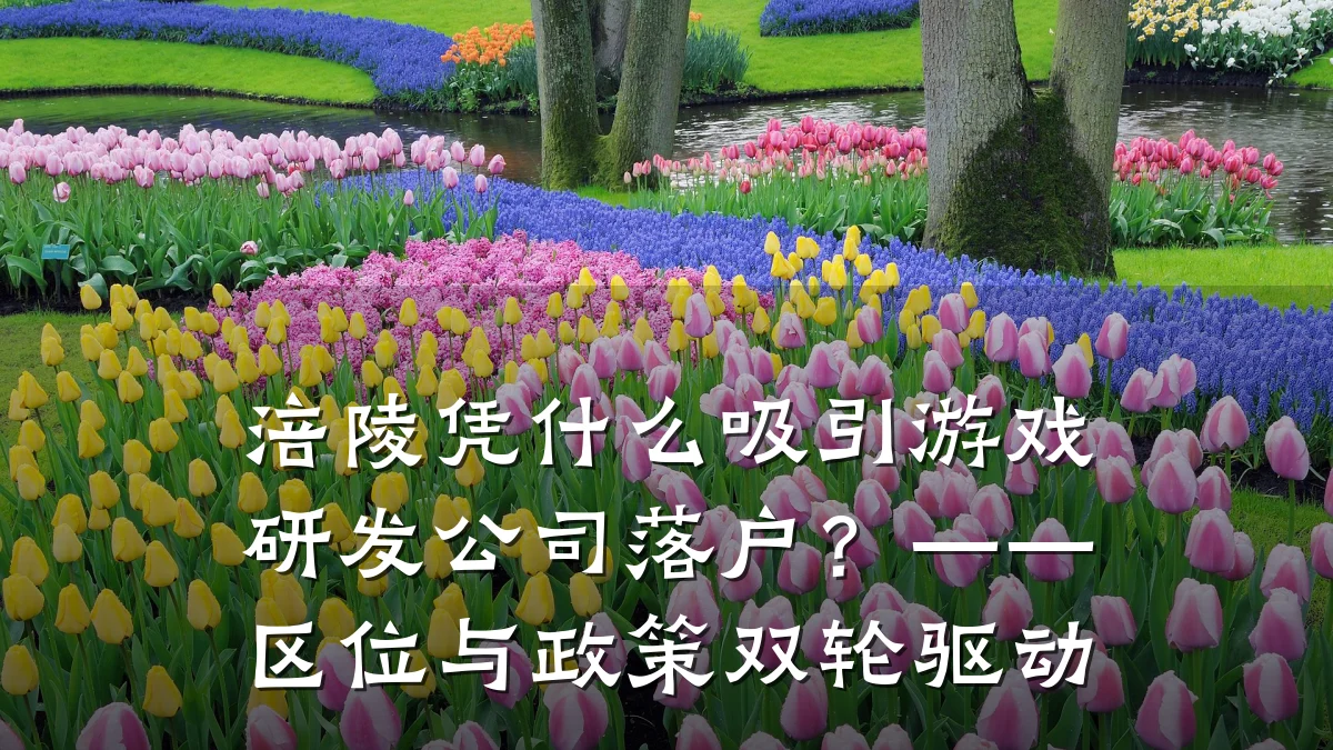 涪陵凭什么吸引游戏研发公司落户?——区位与政策双轮驱动