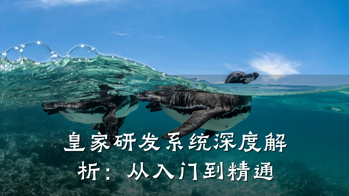 皇家研发系统深度解析:从入门到精通