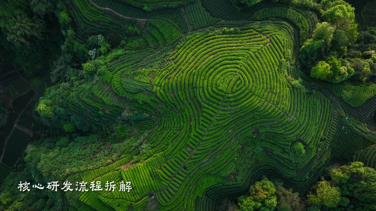 核心研发流程拆解