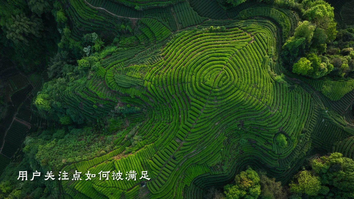 用户关注点如何被满足
