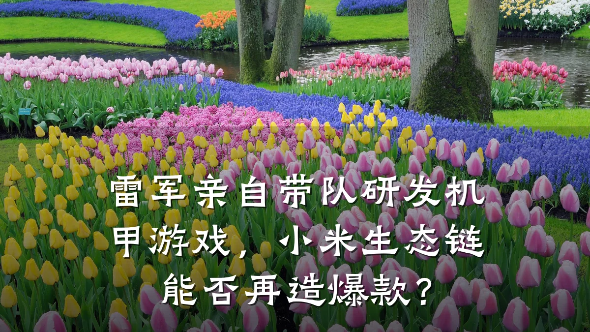 雷军亲自带队研发机甲游戏,小米生态链能否再造爆款?