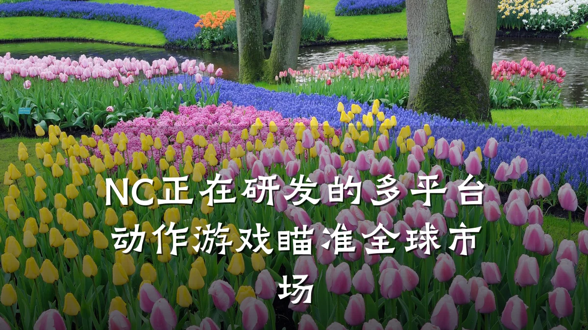 NC正在研发的多平台动作游戏瞄准全球市场