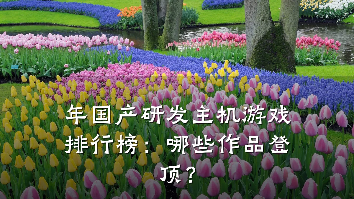年国产研发主机游戏排行榜:哪些作品登顶?