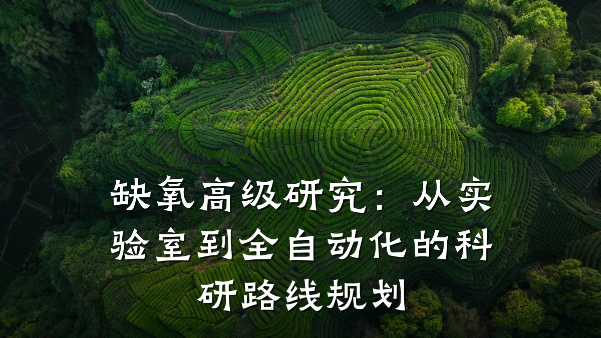 缺氧高级研究:从实验室到全自动化的科研路线规划