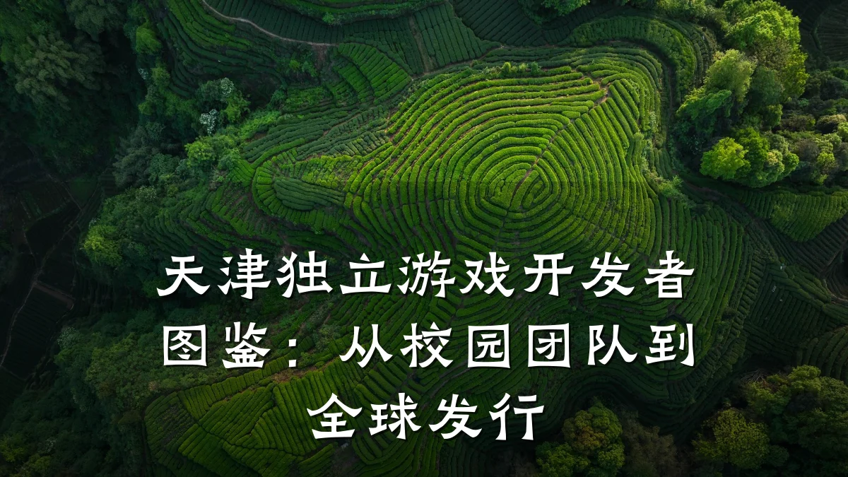 天津独立游戏开发者图鉴:从校园团队到全球发行