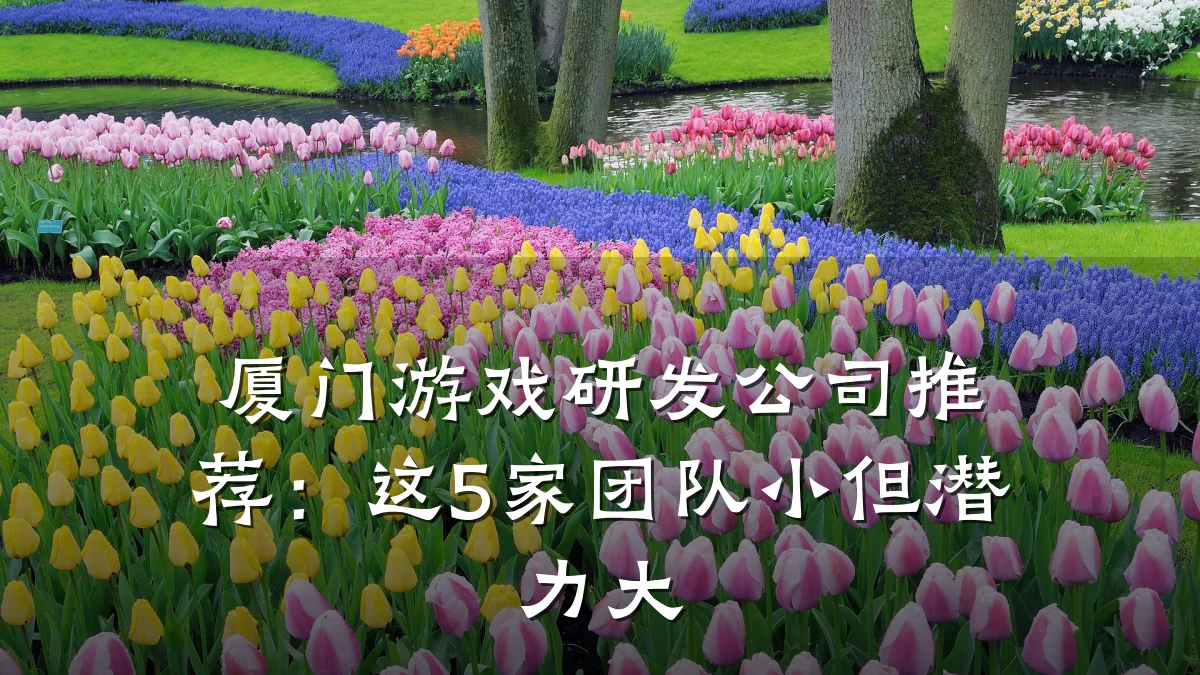 厦门游戏研发公司推荐:这5家团队小但潜力大