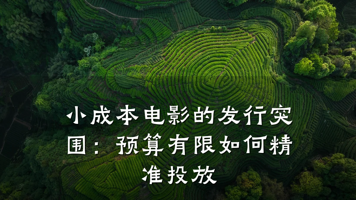 小成本电影的发行突围:预算有限如何精准投放