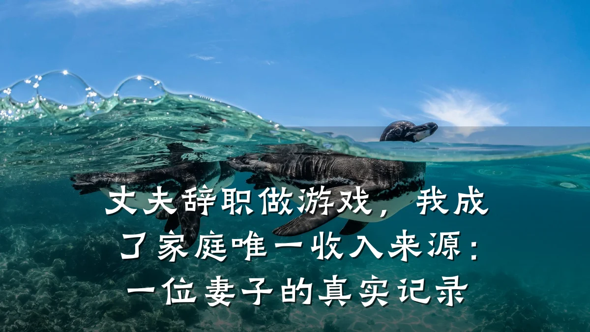 丈夫辞职做游戏,我成了家庭唯一收入来源:一位妻子的真实记录