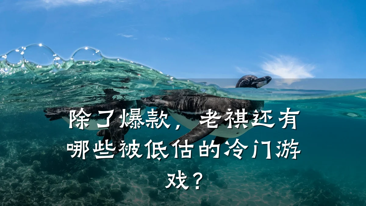除了爆款,老祺还有哪些被低估的冷门游戏?
