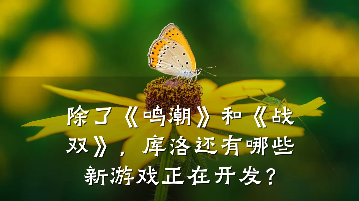 除了《鸣潮》和《战双》,库洛还有哪些新游戏正在开发?