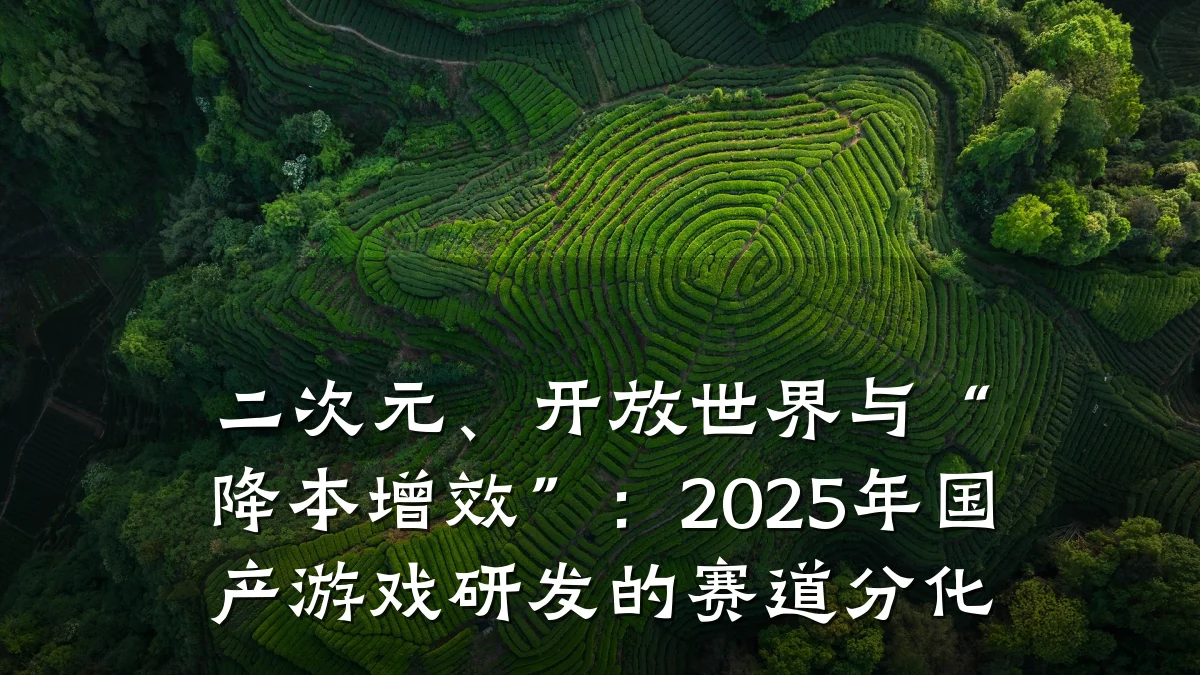 二次元、开放世界与“降本增效”:2025年国产游戏研发的赛道分化