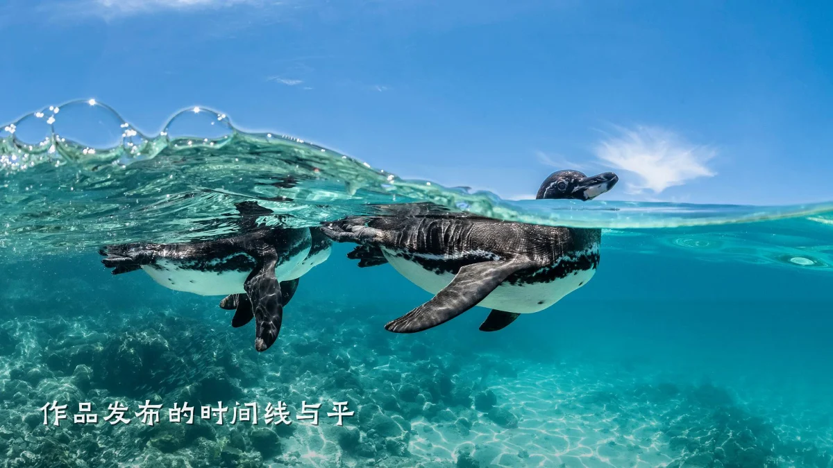 作品发布的时间线与平