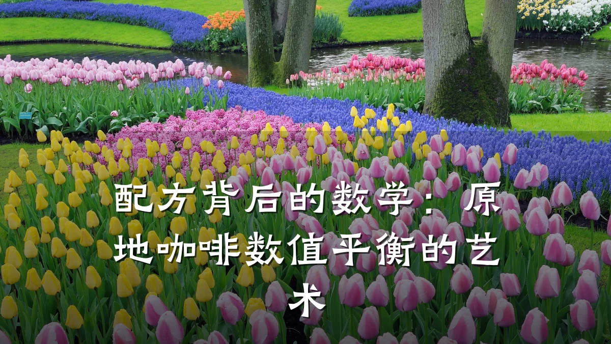 配方背后的数学:原地咖啡数值平衡的艺术