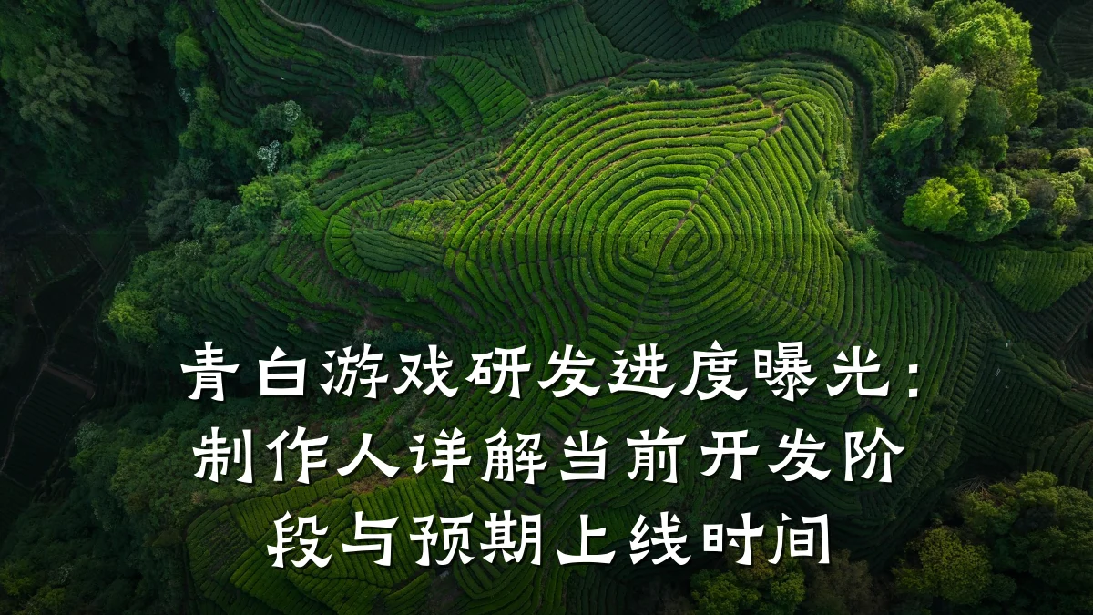 青白游戏研发进度曝光:制作人详解当前开发阶段与预期上线时间