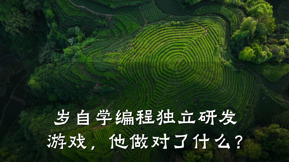 岁自学编程独立研发游戏,他做对了什么?