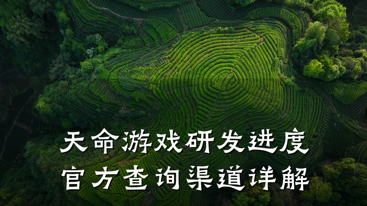 天命游戏研发进度官方查询渠道详解