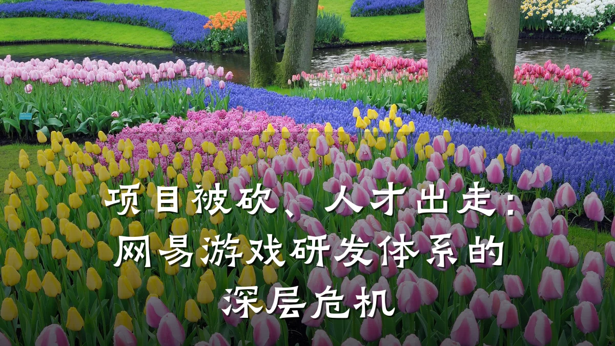 项目被砍、人才出走:网易游戏研发体系的深层危机