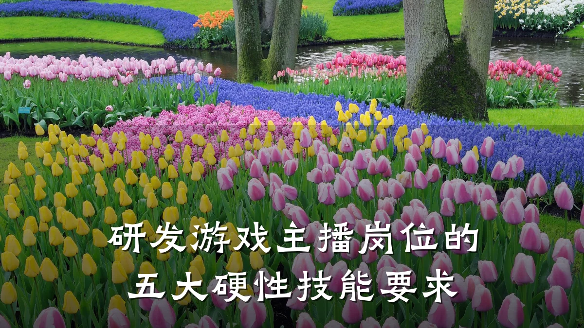 研发游戏主播岗位的五大硬性技能要求