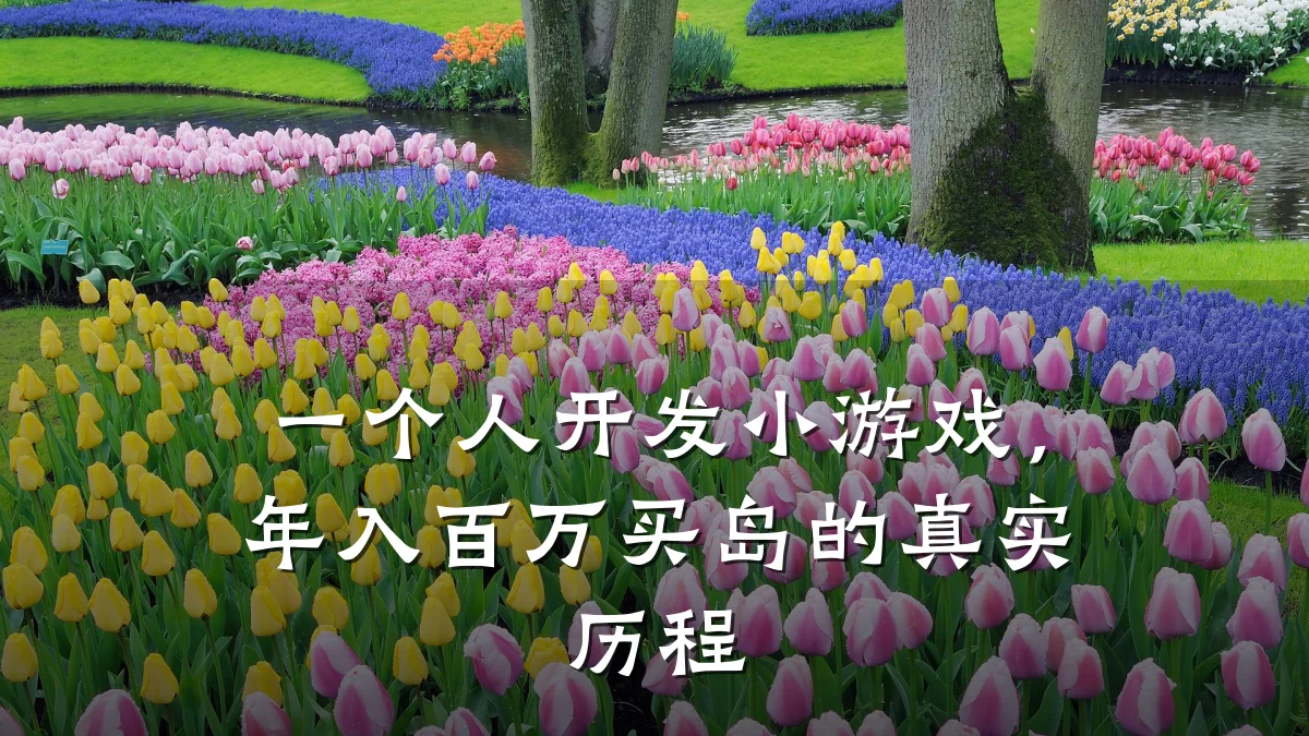 一个人开发小游戏,年入百万买岛的真实历程