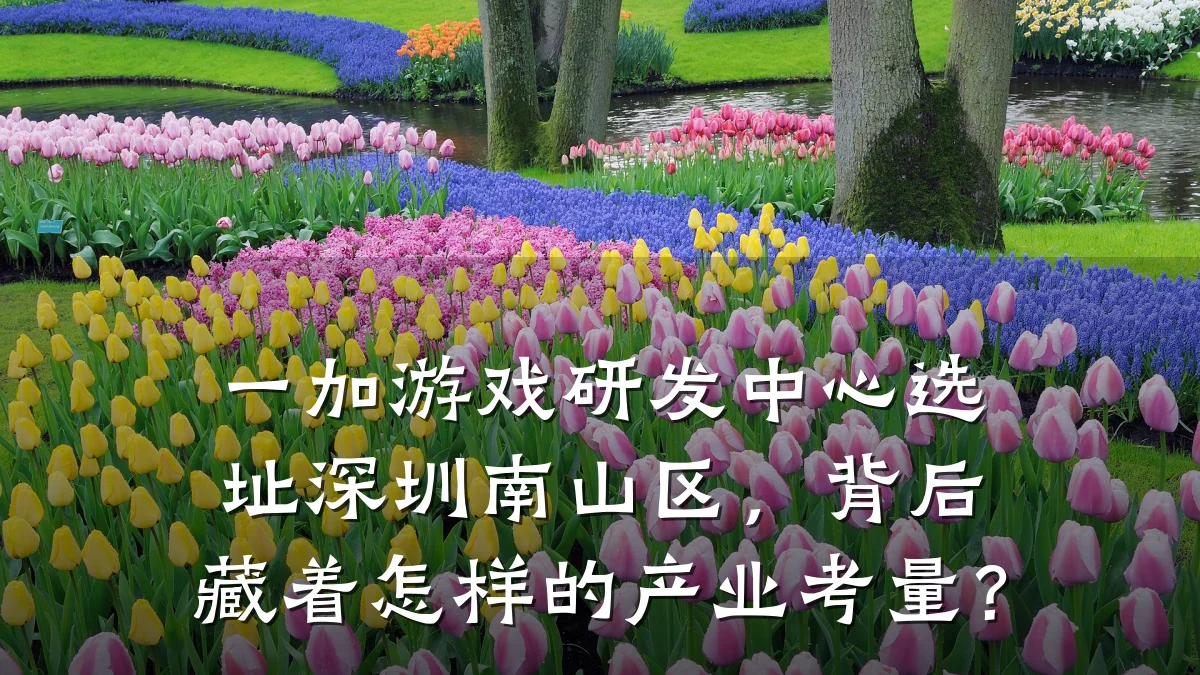一加游戏研发中心选址深圳南山区,背后藏着怎样的产业考量?