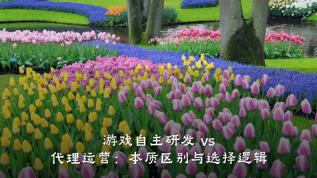 游戏自主研发 vs 代理运营:本质区别与选择逻辑
