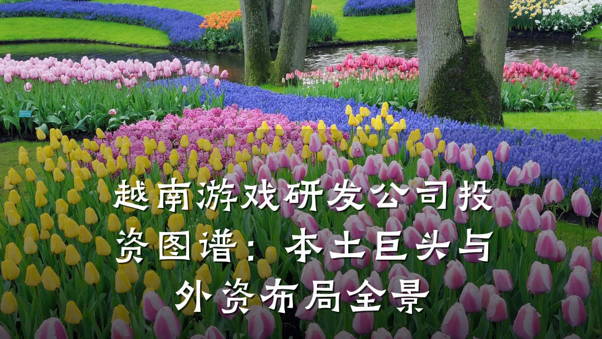 越南游戏研发公司投资图谱:本土巨头与外资布局全景