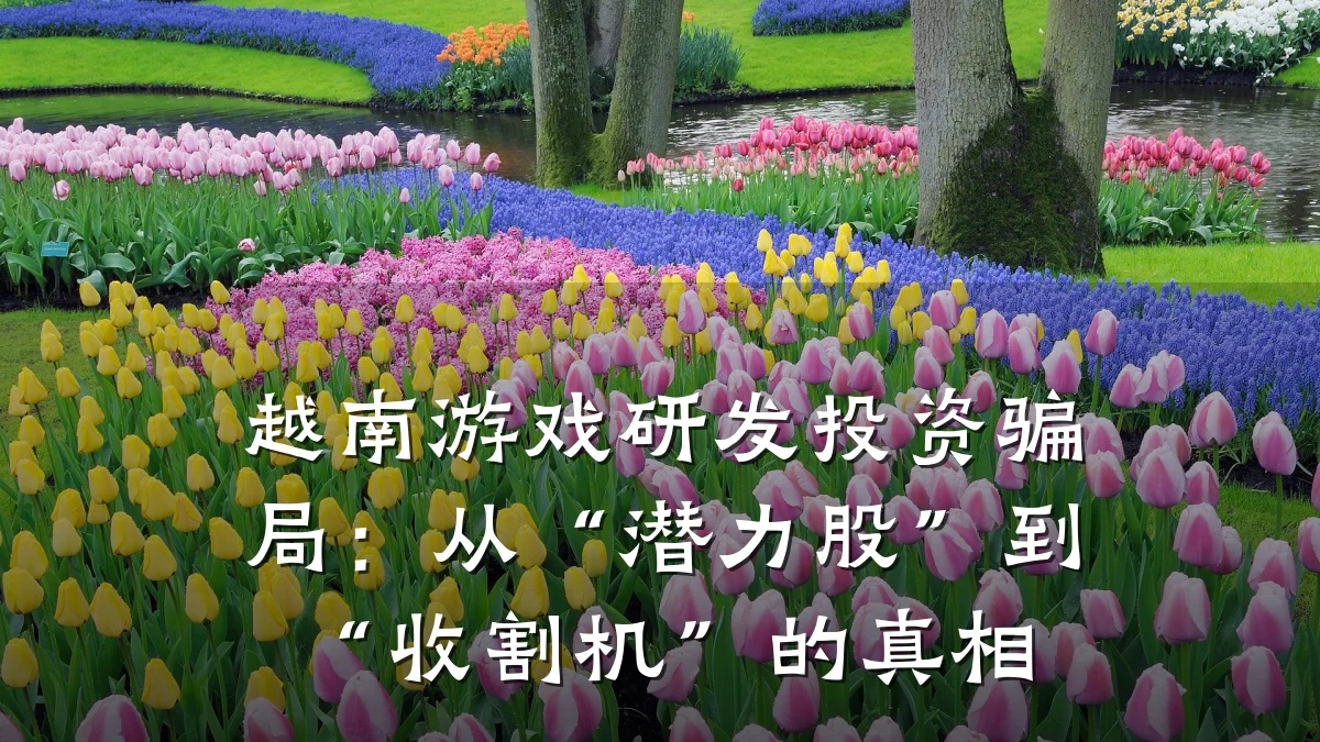 越南游戏研发投资骗局：从“潜力股”到“收割机”的真相
