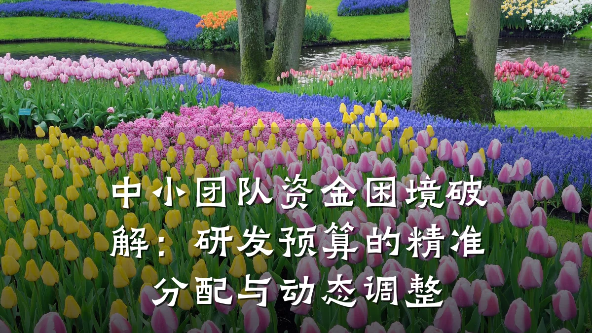 中小团队资金困境破解:研发预算的精准分配与动态调整