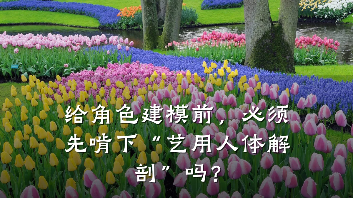 给角色建模前,必须先啃下“艺用人体解剖”吗?