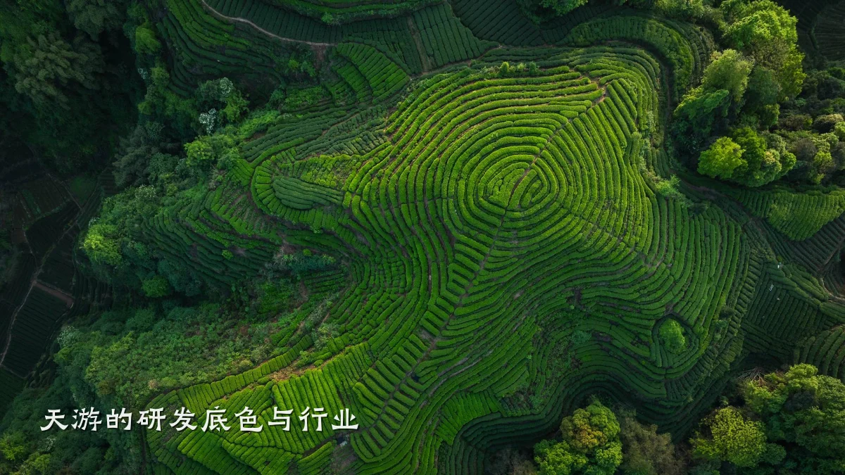 天游的研发底色与行业